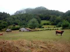 DSCN4237 DSCN4237