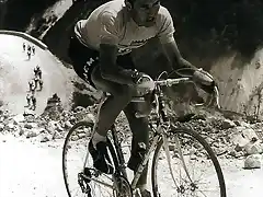 GIRO1968,MERCKX