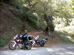 DSCN0070 DSCN0070