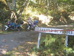 IMG_0805 IMG_0805