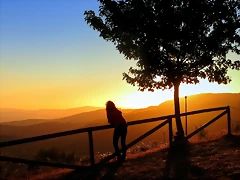 IMG_8107 IMG_8107
