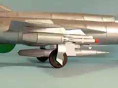 MIG 21 74