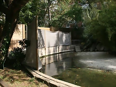 Zoo de Barcelona 07-09-2010 279