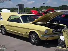 1966-mustang-gt-high-country-special-medium