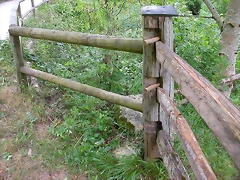 DSCN3792 DSCN3792