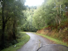 DSCN8458 DSCN8458