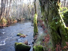 DSCN2082 DSCN2082