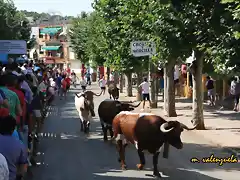 026, por la avenida 3, marca