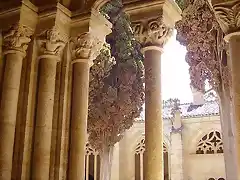 Ciudad Rodrigo claustro1