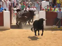 045, el toro en la plaza 2, marca