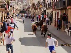 013, por la calle del agua, marca