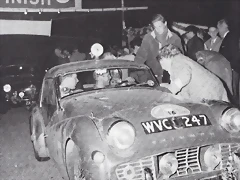 Triumph TR3 - Tulpen Rally Triumph TR3 - Tulpen Rally