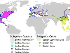 Distribution-of-Quercus-sections