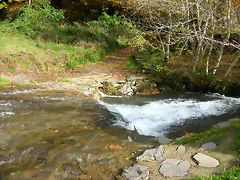 DSCN6093 DSCN6093