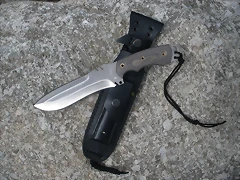 B.V 002