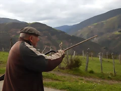 DSCN9233.JPEG DSCN9233.JPEG