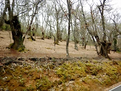 DSCN4100 DSCN4100