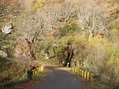 DSCN4892 DSCN4892