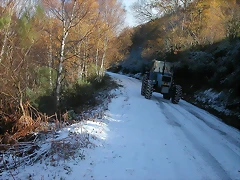 DSCN4876 DSCN4876