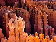 The Hoodoos of Bryce