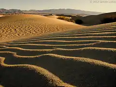 Death_Valley_Mesquite_Dunes