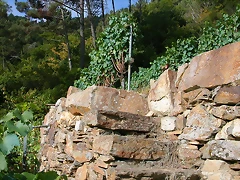 DSCN7498 DSCN7498