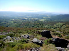 DSCN2172 DSCN2172
