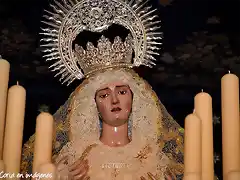 Borriquita - Virgen de la Victoria