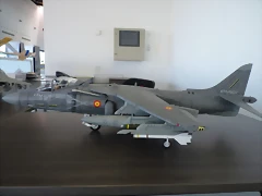 P1090491 P1090491
