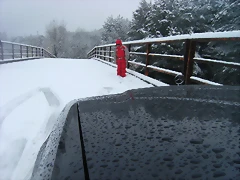 NEVADA 2015 016