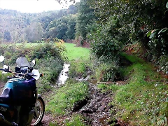 DSCN5284 DSCN5284