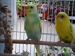 20191001_190040 20191001_190040
