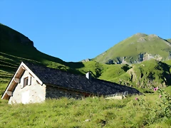 IMG_7245 IMG_7245