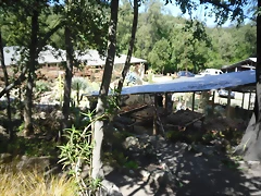 SAM_0367 SAM_0367