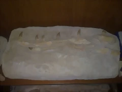 40
