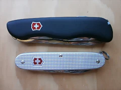 P6170001