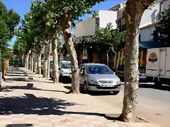 006, la avenida 1