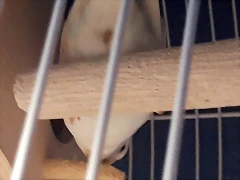 20180830_155748