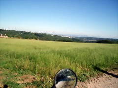P1010145 P1010145