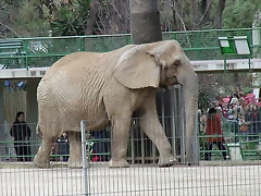Zoológico 04-03-06 081 Zoológico 04-03-06 081