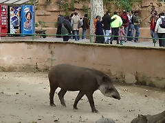 Zoológico 04-03-06 131 Zoológico 04-03-06 131