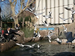 Zoo Barcelona 31-12-07 272 Zoo Barcelona 31-12-07 272