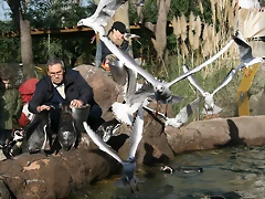 Zoo Barcelona 31-12-07 283 Zoo Barcelona 31-12-07 283