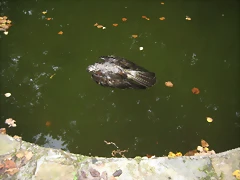 IMG_0489 IMG_0489