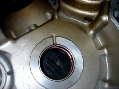 DSCN5884