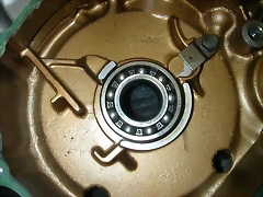DSCN5913