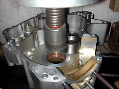 DSCN5876 DSCN5876
