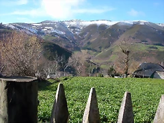 DSCN7772 DSCN7772