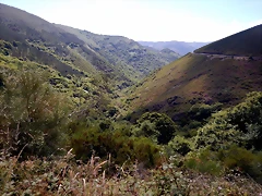 DSCN1525 DSCN1525