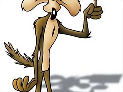coyote